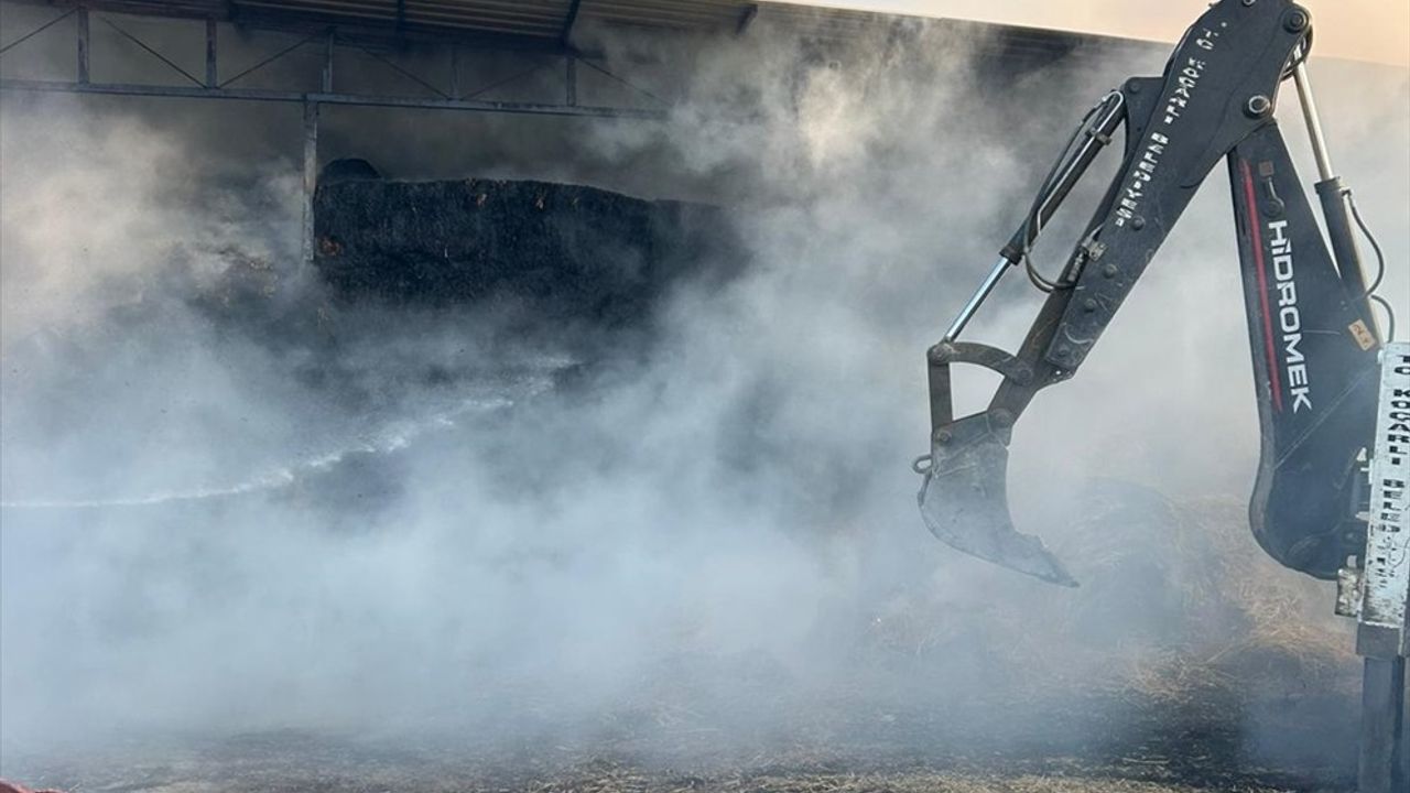 Aydın'da Çiftlik Yangını: 4 Hayvan Telef Oldu, 150 Ton Saman Yandı