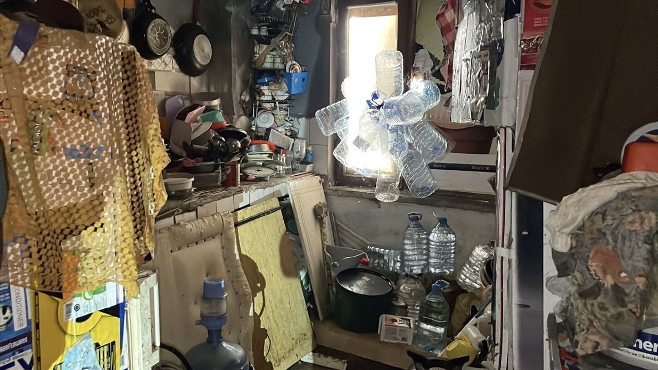Aydın'da Çöp Evden 4 Kamyon Çöp, 12 Kedi ve 3 Kaplumbağa Çıktı