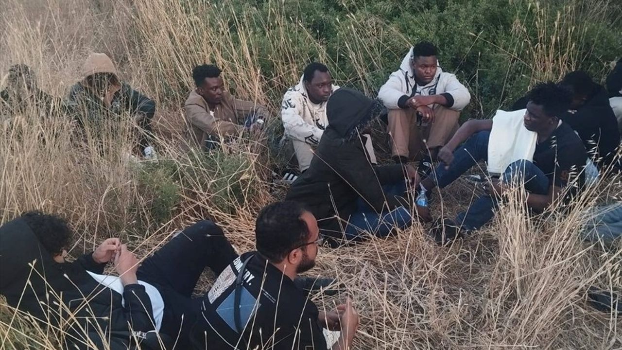 Aydın'da Düzensiz Göçmen Operasyonu