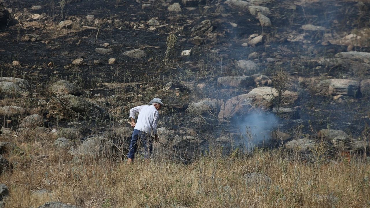 Aydın'da Tarım Alanında Yangınla Mücadele Devam Ediyor
