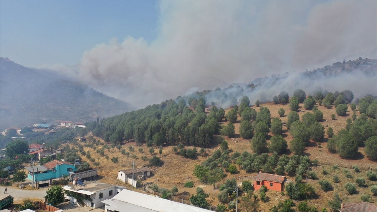 Aydın'da Yangınla Mücadele Devam Ediyor