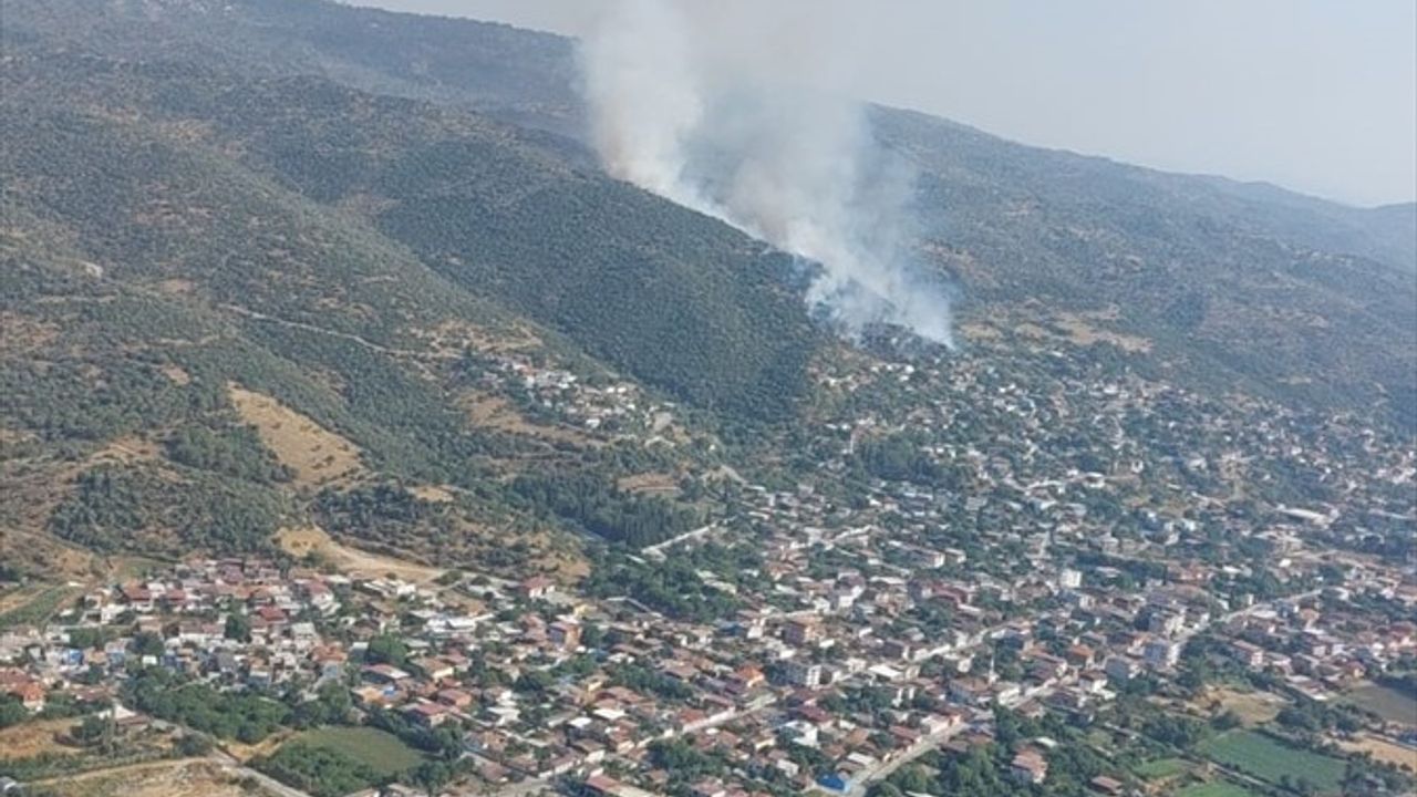 Aydın'da Ziraat Alanında Yangın Çıkmış Durumda