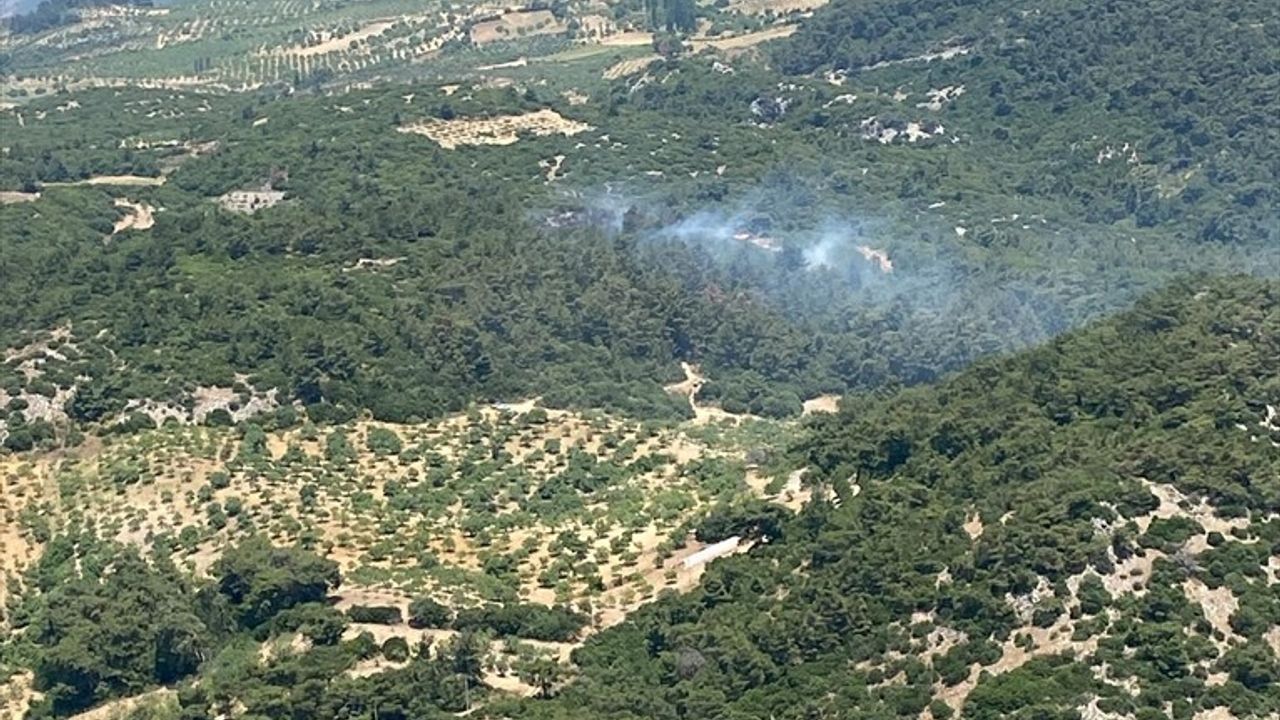 Aydın Germencik'te Orman Yangınına Müdahale Başladı