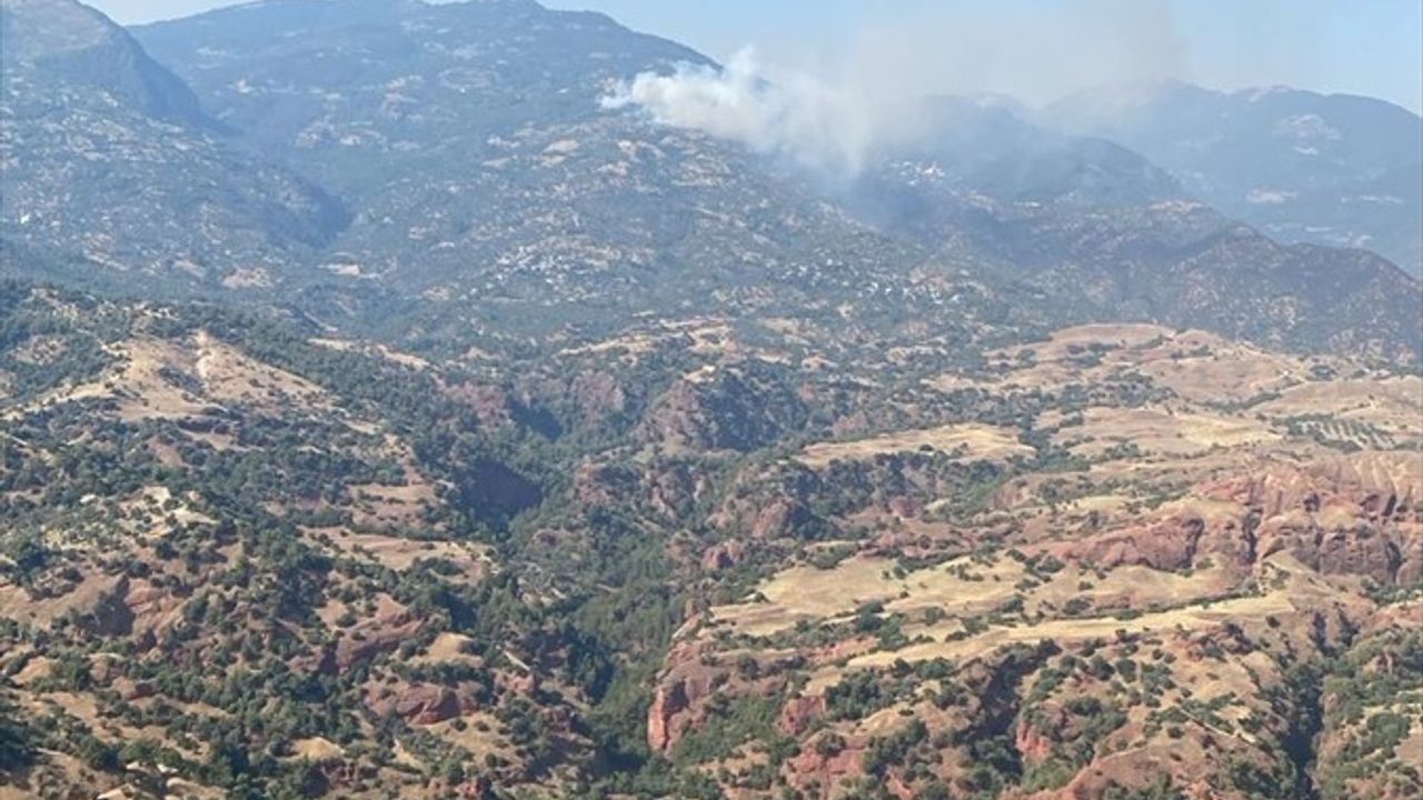 Aydın'da Yangınlarla Mücadele Sürüyor