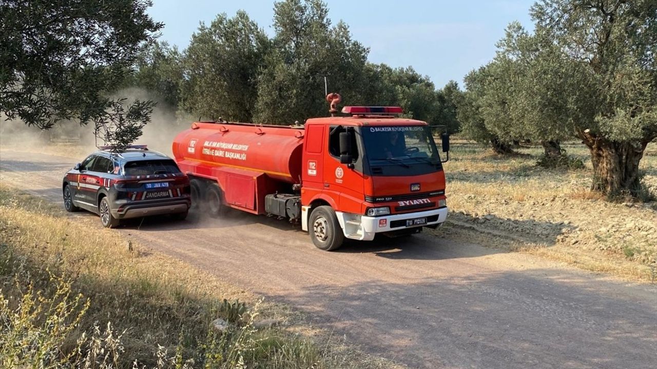 Ayvalık'ta Zeytinlikte Yangın Çıktı