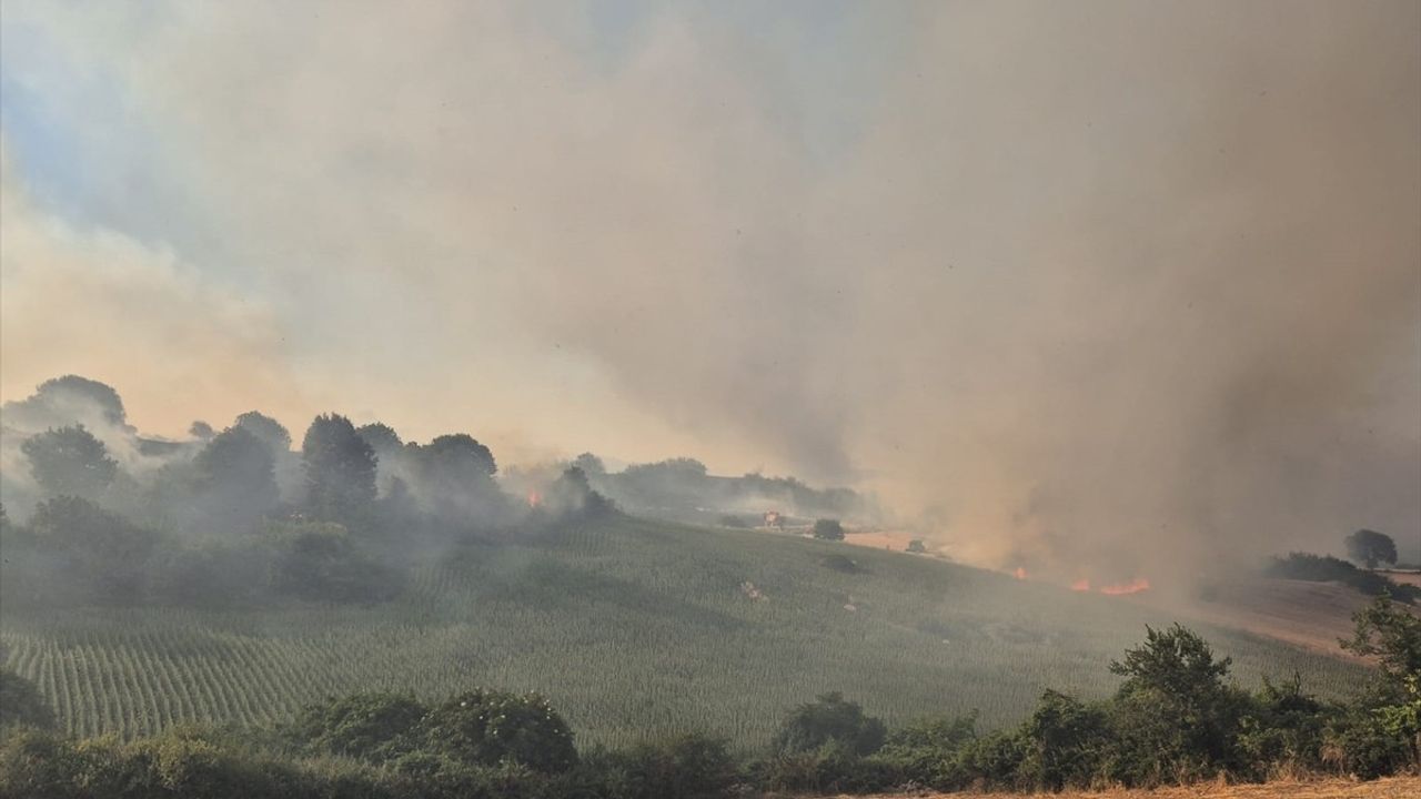 Balıkesir'de Arazide Yangın Mücadelesi