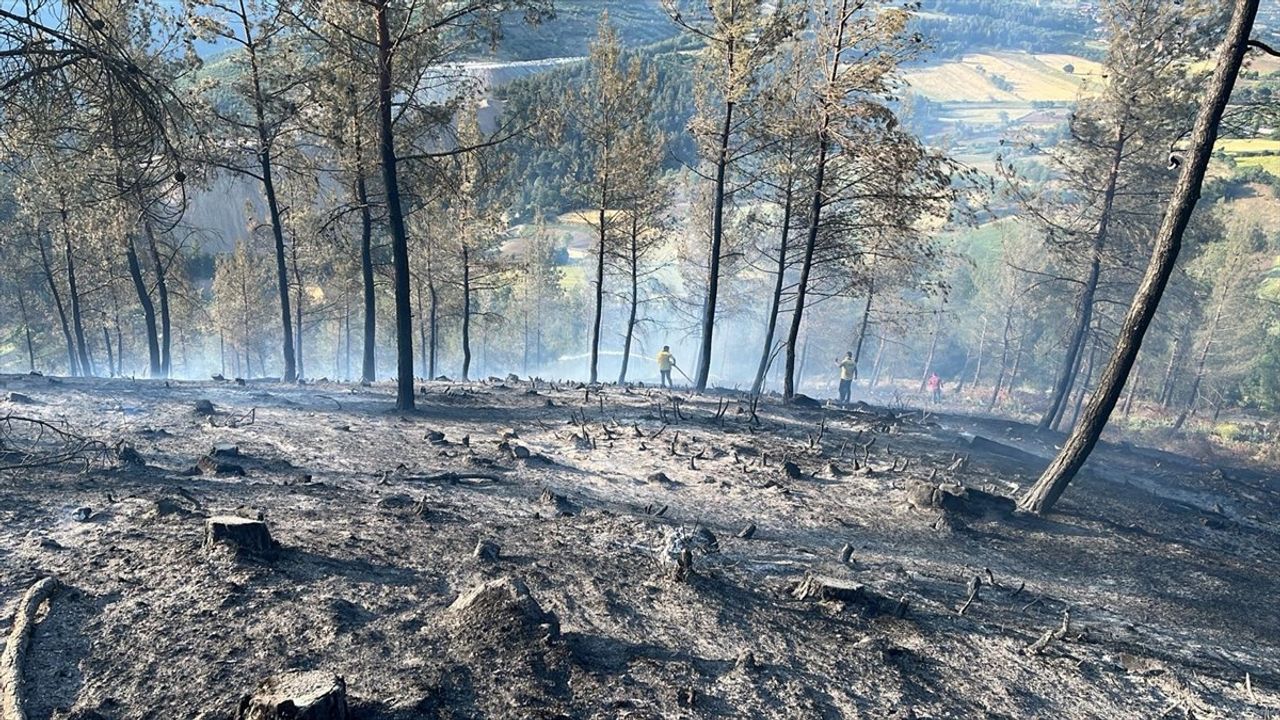 Balıkesir'deki Orman Yangını Kontrol Altına Alındı