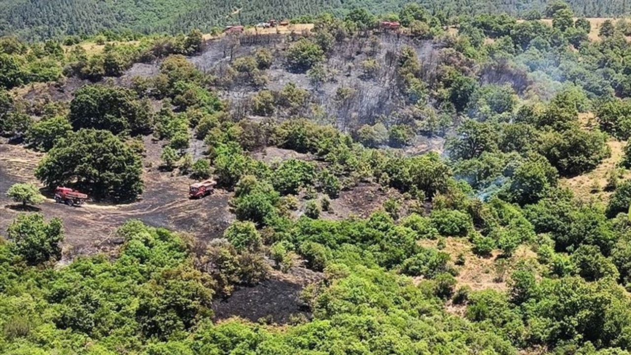 Balıkesir'deki Orman Yangınına Müdahele Devam Ediyor