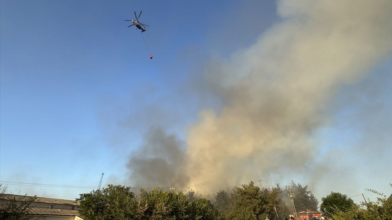 Bilecik'te Orman Yangınına Hızla Müdahale Ediliyor