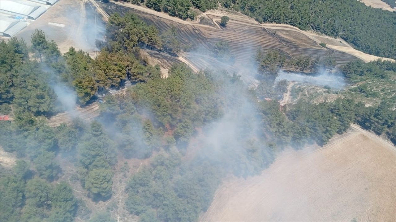 Bilecik'te Yangın: Buğday Tarlası ve Orman Alanı Zarar Gördü