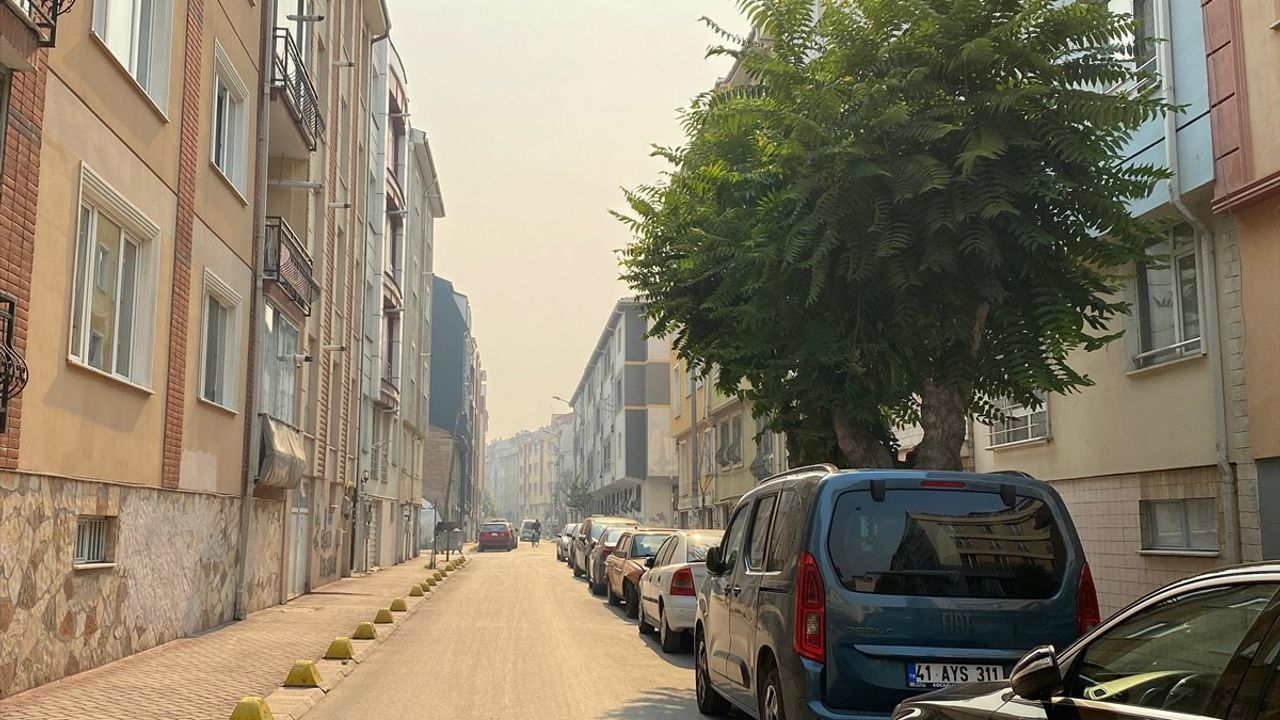 Bilecik'teki Orman Yangını Eskişehir'i Etkiliyor