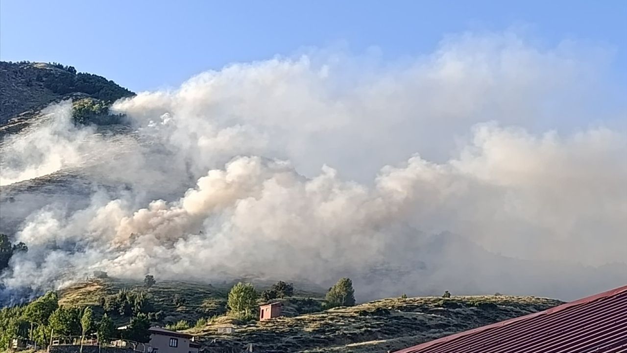Bingöl'deki Orman Yangını Kontrol Altına Alındı