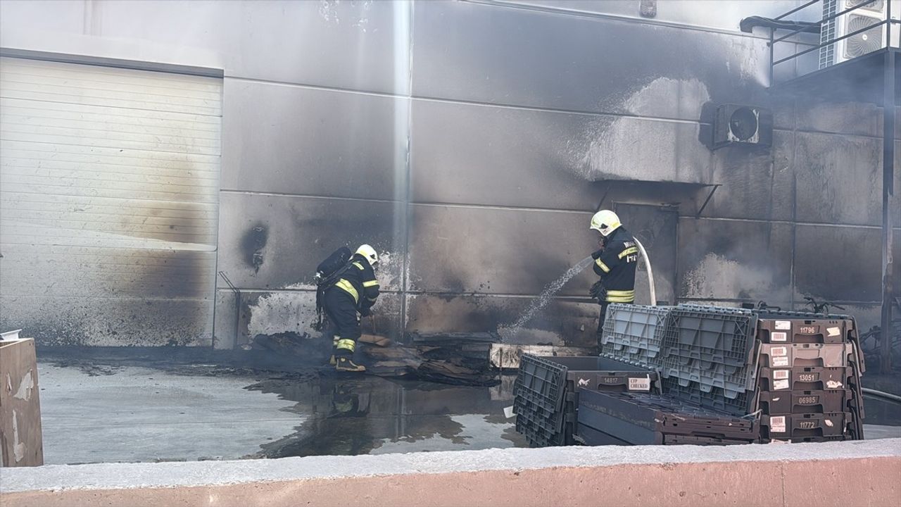 Bodrum'daki AVM'de Geri Dönüşüm Alanında Yangın Çıktı