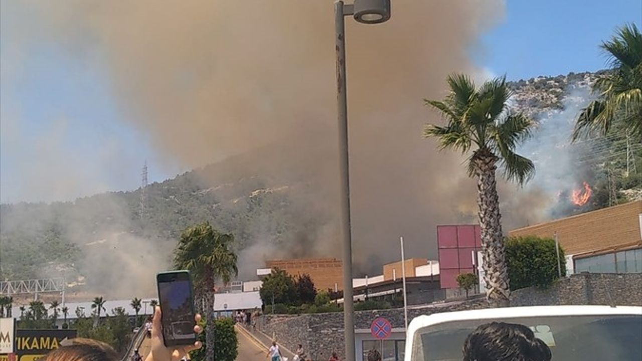 Bodrum'daki Orman Yangınında Mücadele Sürüyor