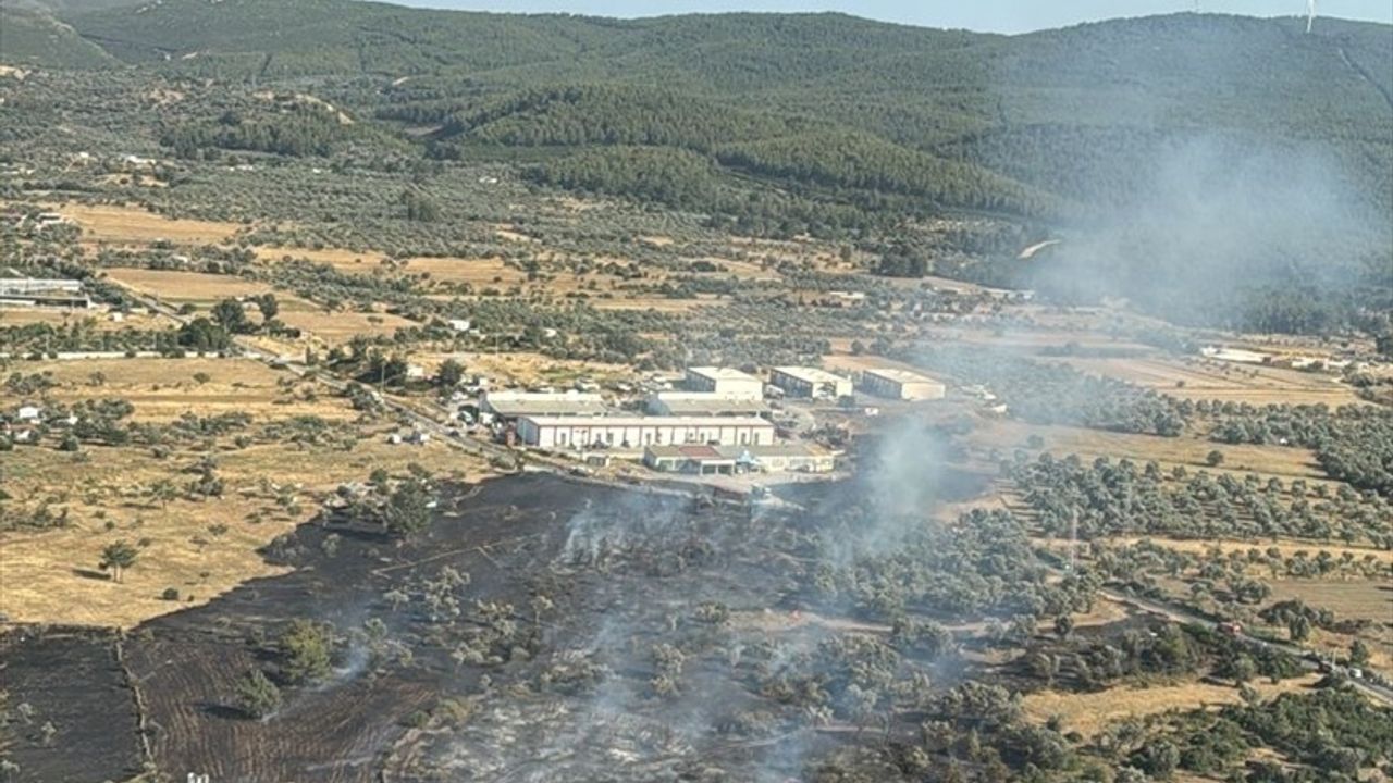 Bodrum'daki Tarım Arazisindeki Yangın Kontrol Altına Alındı