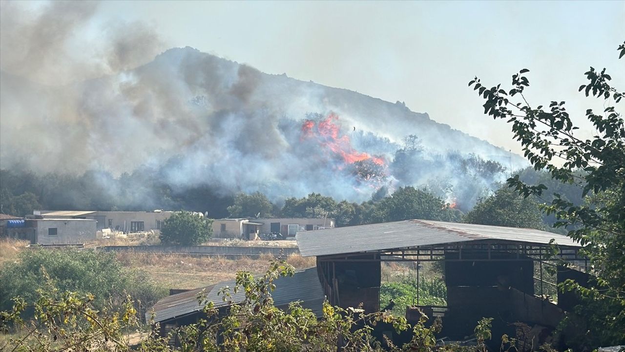 Bodrum'daki Yangına Hızla Müdahale Ediliyor