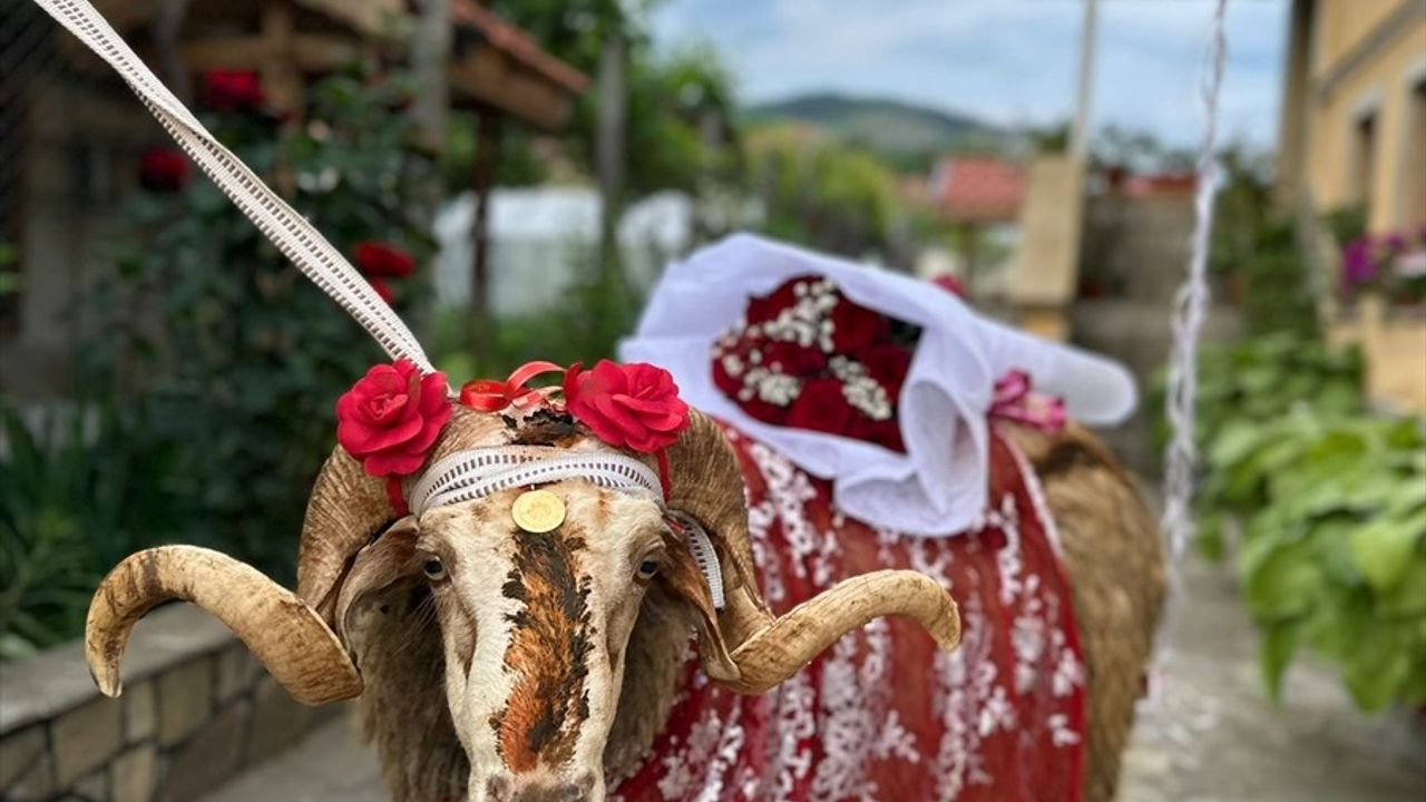Bulgaristan'da Gelin Koçu Geleneği Yaşatılıyor