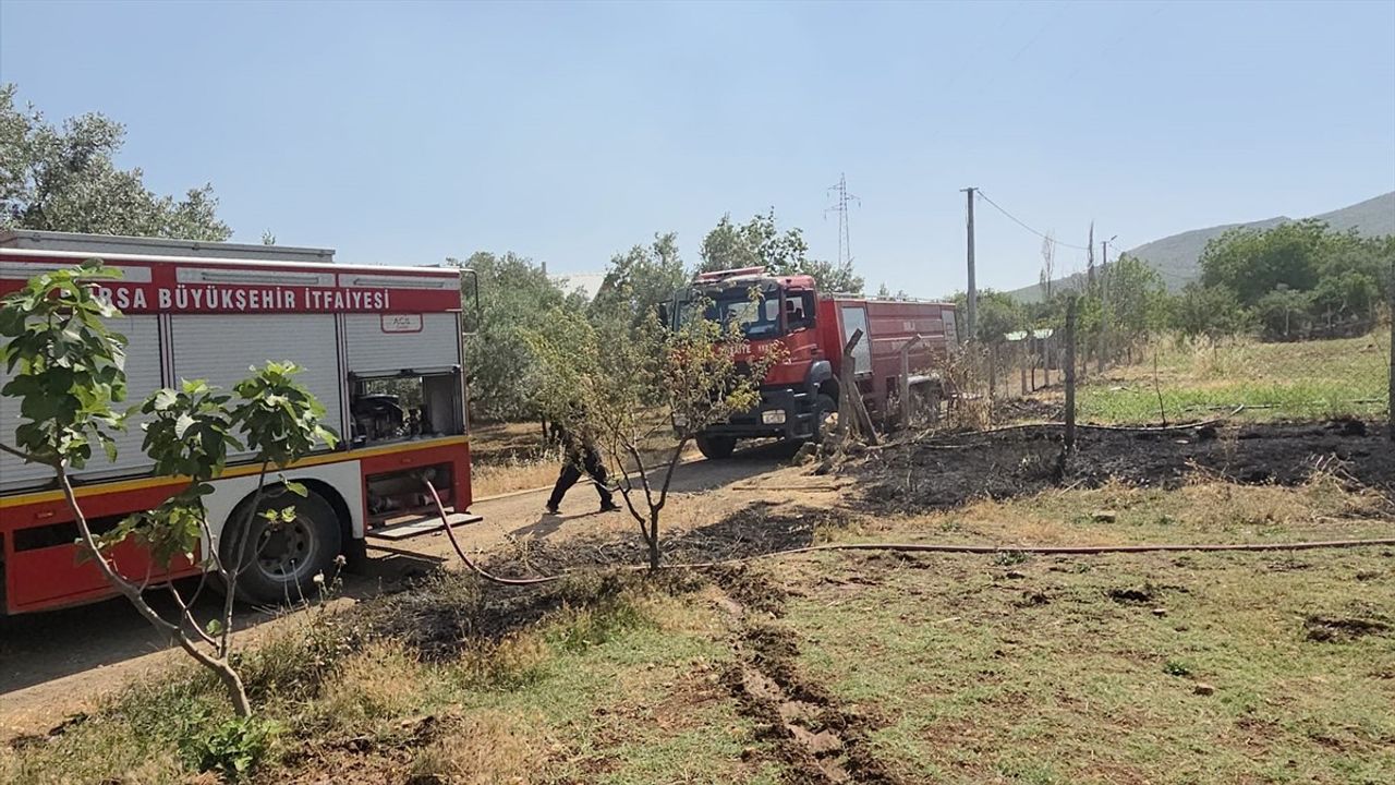 Bursa'da İki Ayrı Orman Yangınına Müdahale Başlatıldı