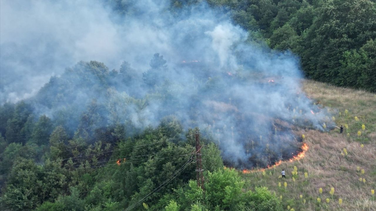 Bursa'da Merada Yangın Kontrol Altına Alındı