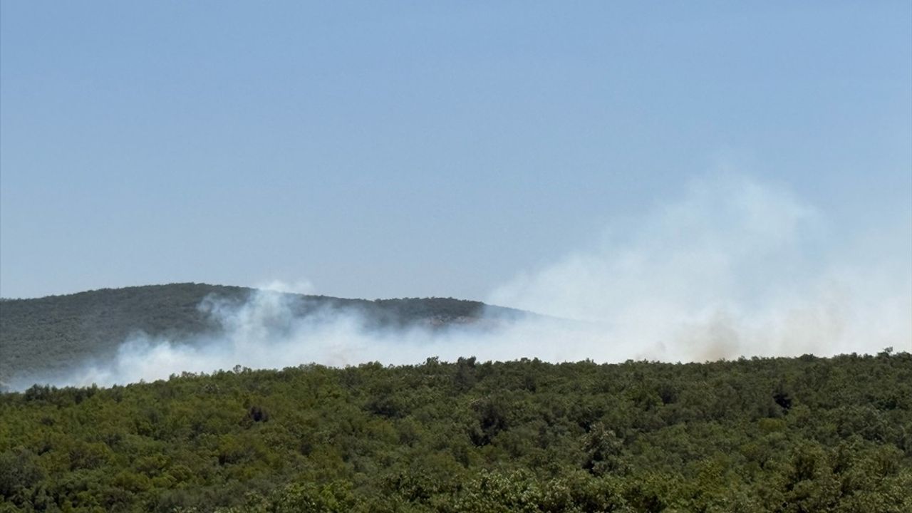 Bursa'da Orman Yangınına Hızlı Müdahale