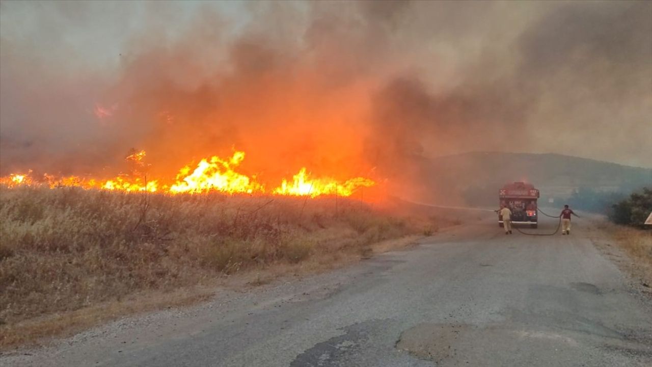 Çanakkale'de Tarım Arazisinde Yangın