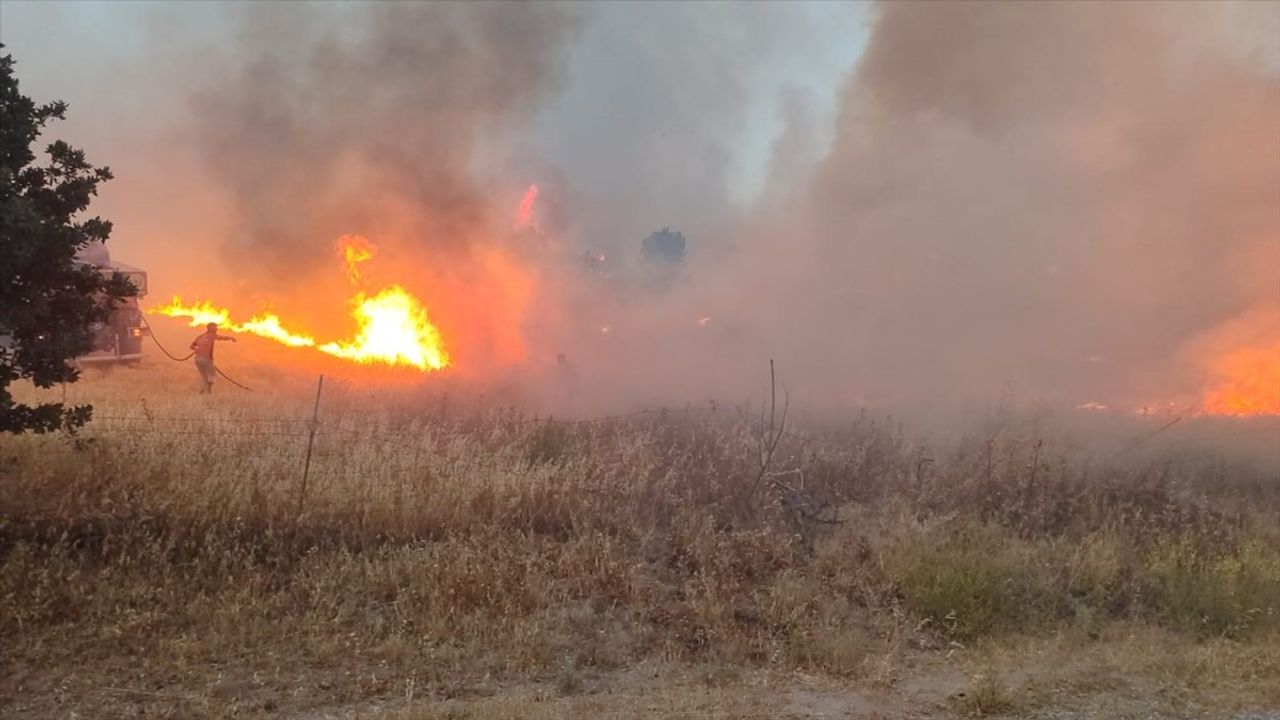 Çanakkale'deki Tarım Arazisindeki Yangın Kısmen Kontrol Altında
