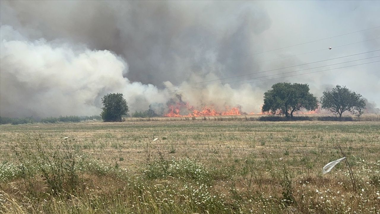 Çanakkale'deki Tarım Arazisindeki Yangın Kontrol Altına Alındı