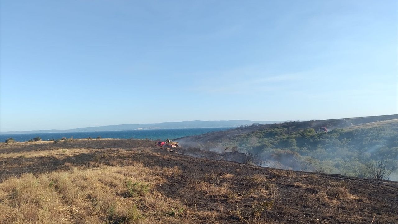Çanakkale'deki Yangında Tarım Arazileri Zarar Gördü