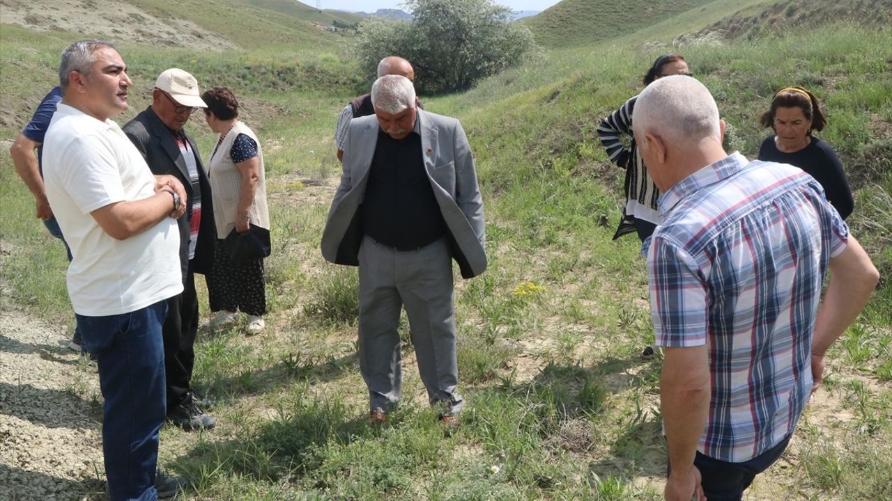 Çankırı'da Yeni Keşif: Dorycnium vuralii Bitkisi
