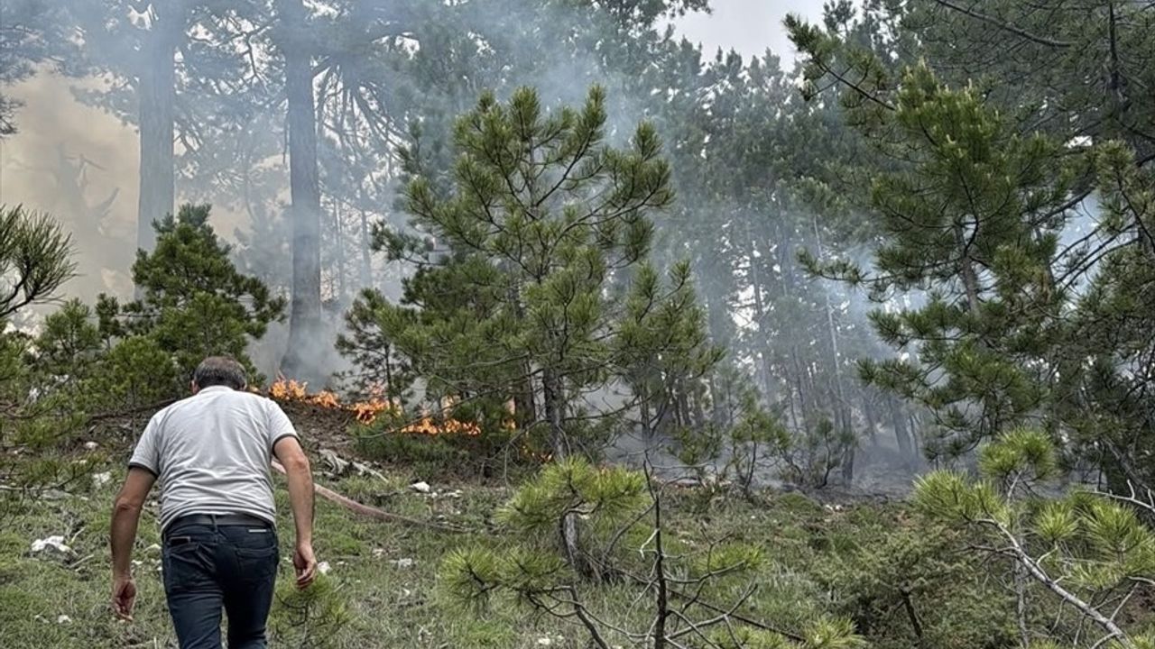 Denizli'deki Orman Yangını Kontrol Altına Alındı