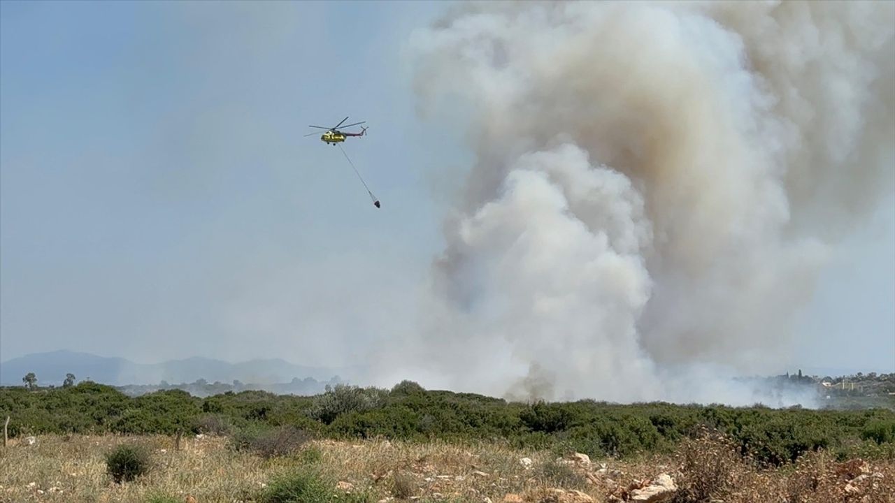 Didim'de Makilik Alanında Yangın Mücadelesi