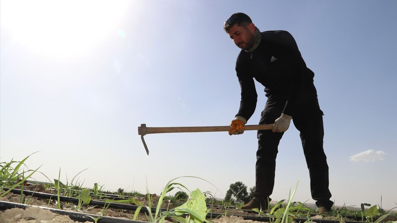 Diyarbakır ve Batman'da Sıcak Havalarda Serinleme Yöntemleri