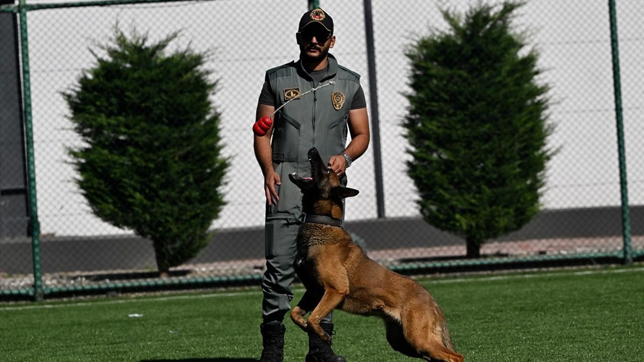 Düzce ve Karabük'te Spor ile Farkındalık Etkinliği