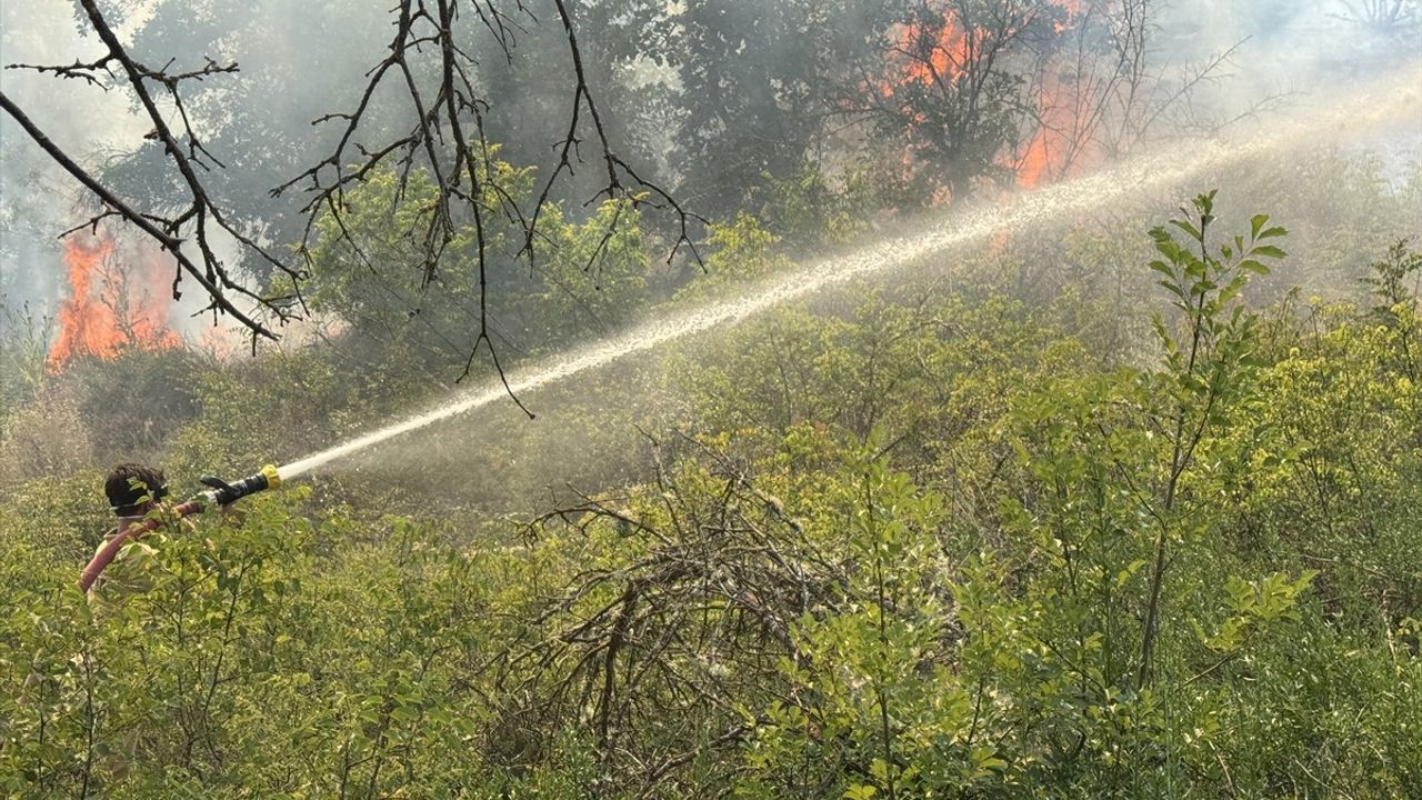 Edirne'de Orman Yangınına Müdahale