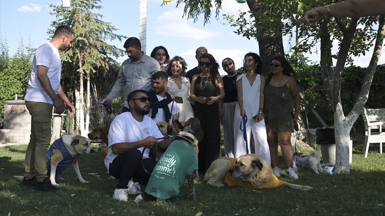 Engelli Hayvanlar Podyumda Yürüdü