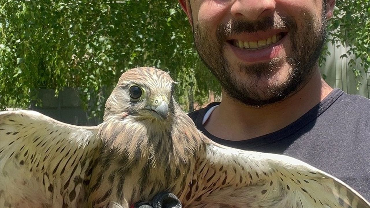 Erzurum'da Kerkenez Doğaya Yeniden Kavuştu