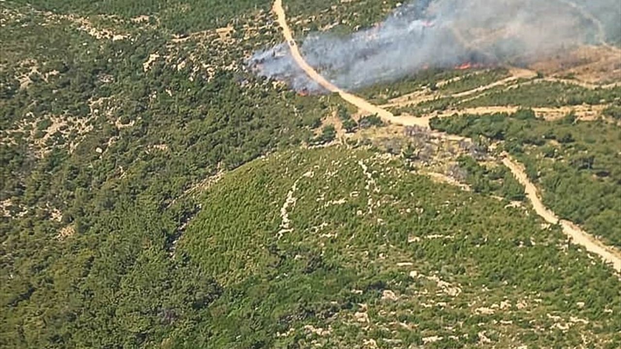 Foça'da Orman Yangınına Hızla Müdahale