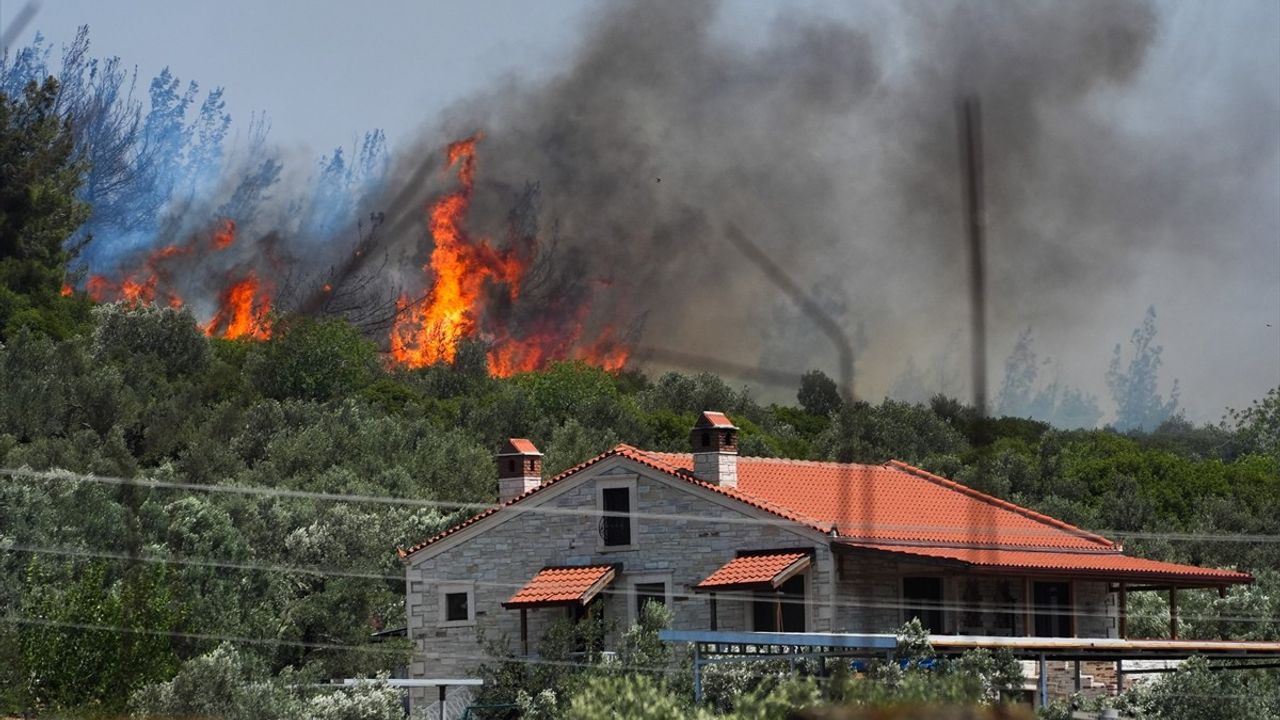 Foça'da Orman Yangınına Hızlı Müdahale