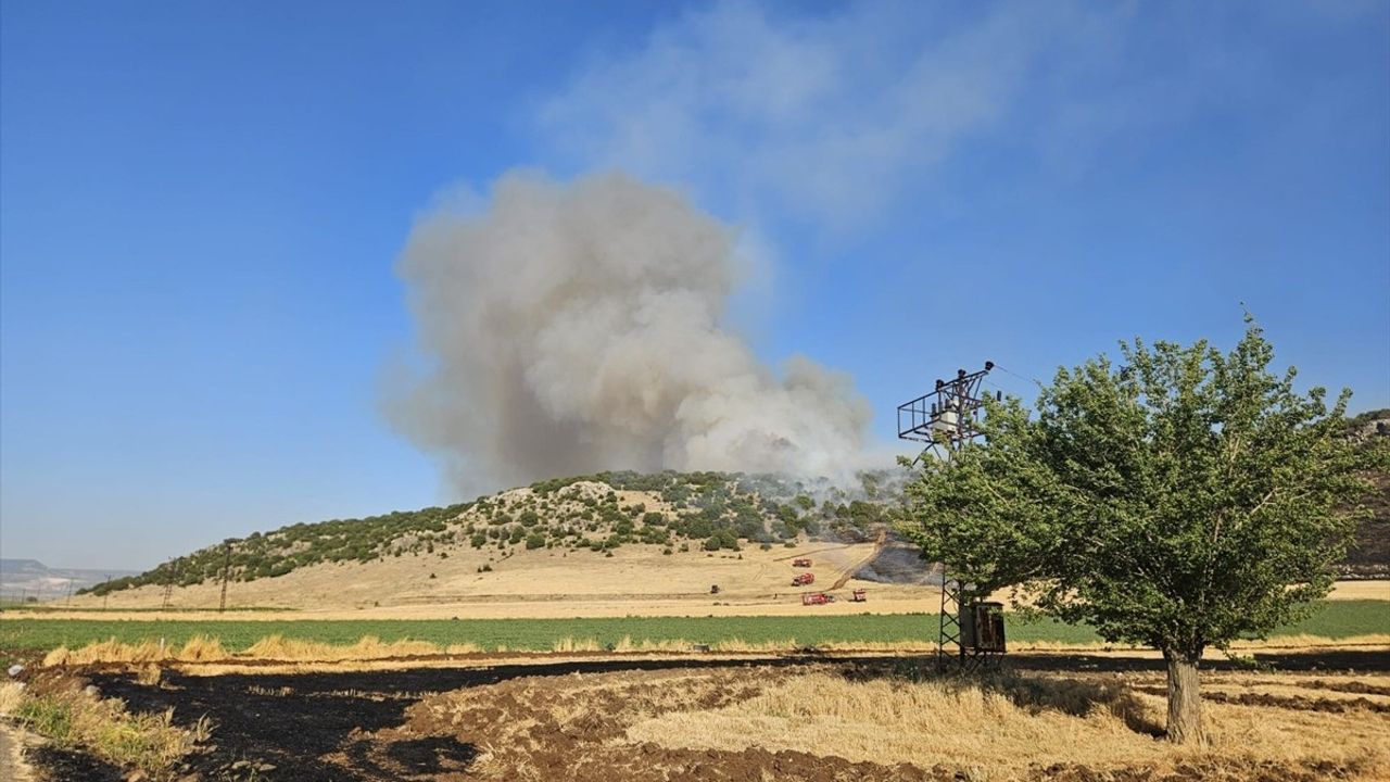 Gaziantep'te Anız Yakan Tarımcıya Cezai İşlem