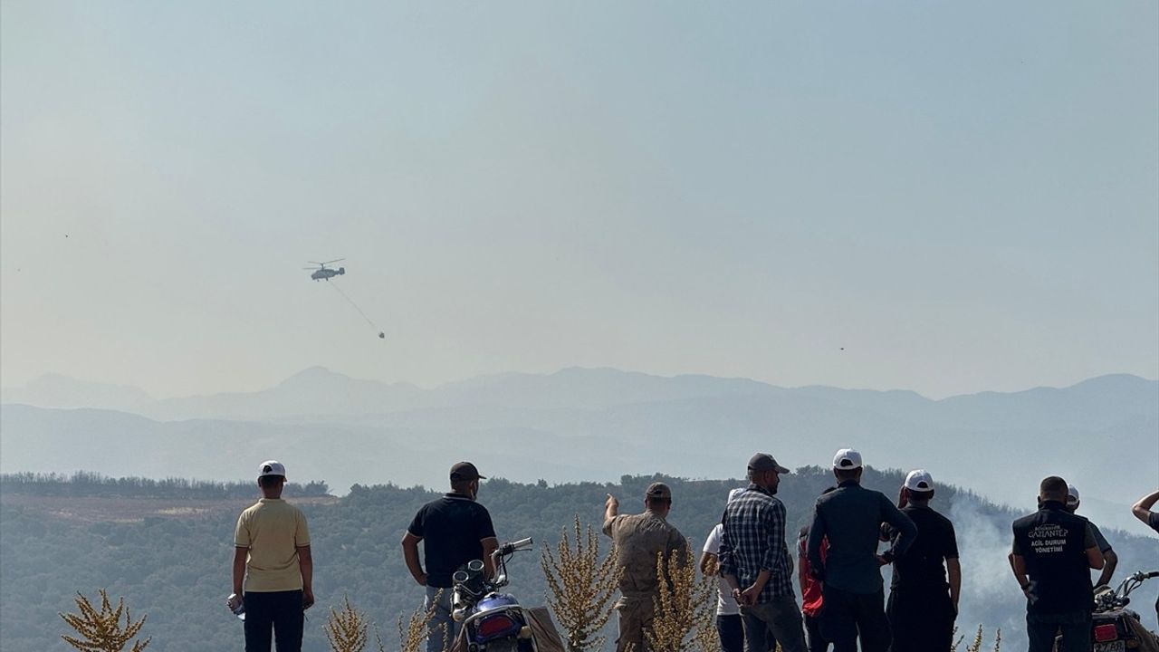 Gaziantep'te Orman Yangını Kısmen Kontrol Altına Alındı