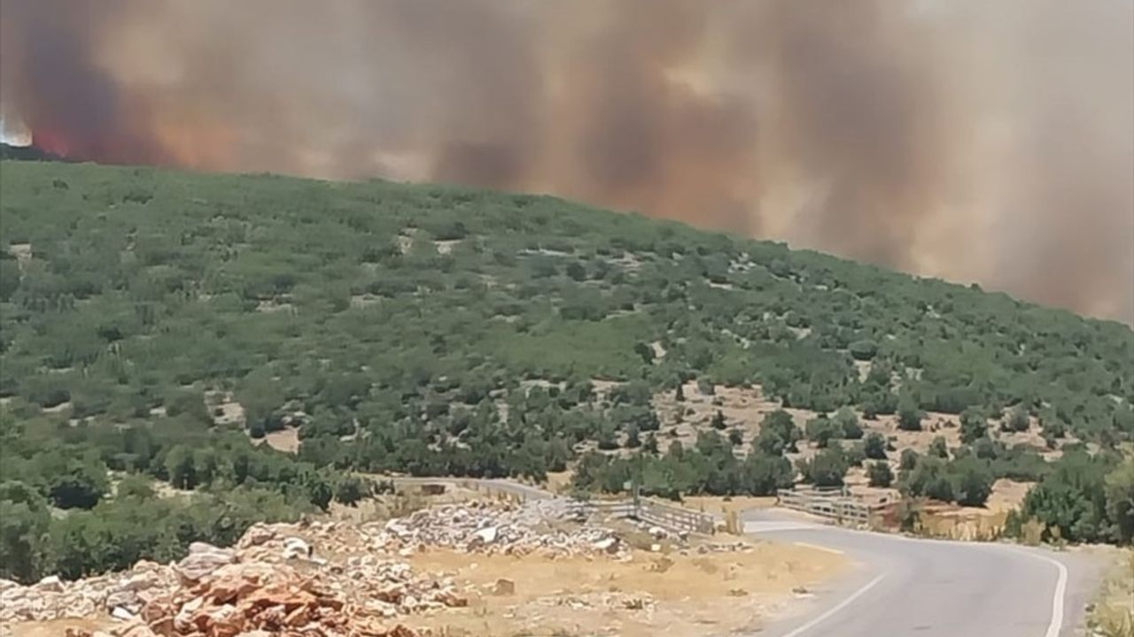 Gaziantep'te Orman Yangınına Hızla Müdahale