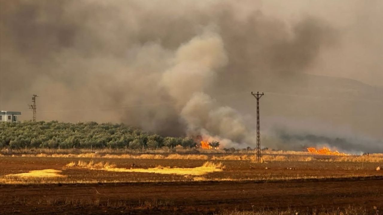 Gaziantep'te Yangın: 500 Dönüm Buğday Arazisi Zarar Gördü