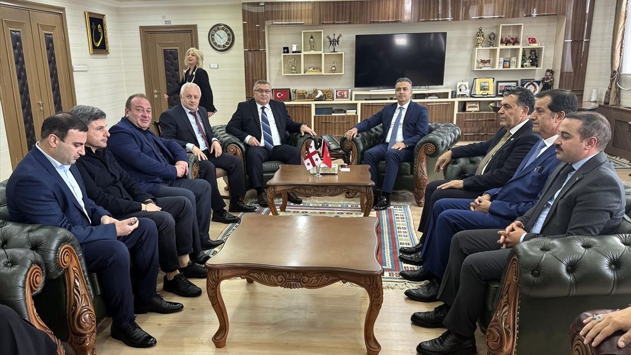 Gürcistan ve Türkiye Arasındaki İlişkiler Pekişiyor