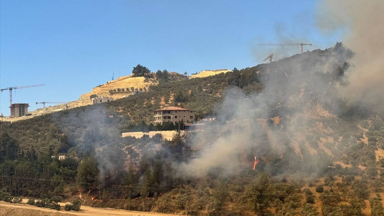 Hatay'da Orman Yangınına Hızlı Müdahale