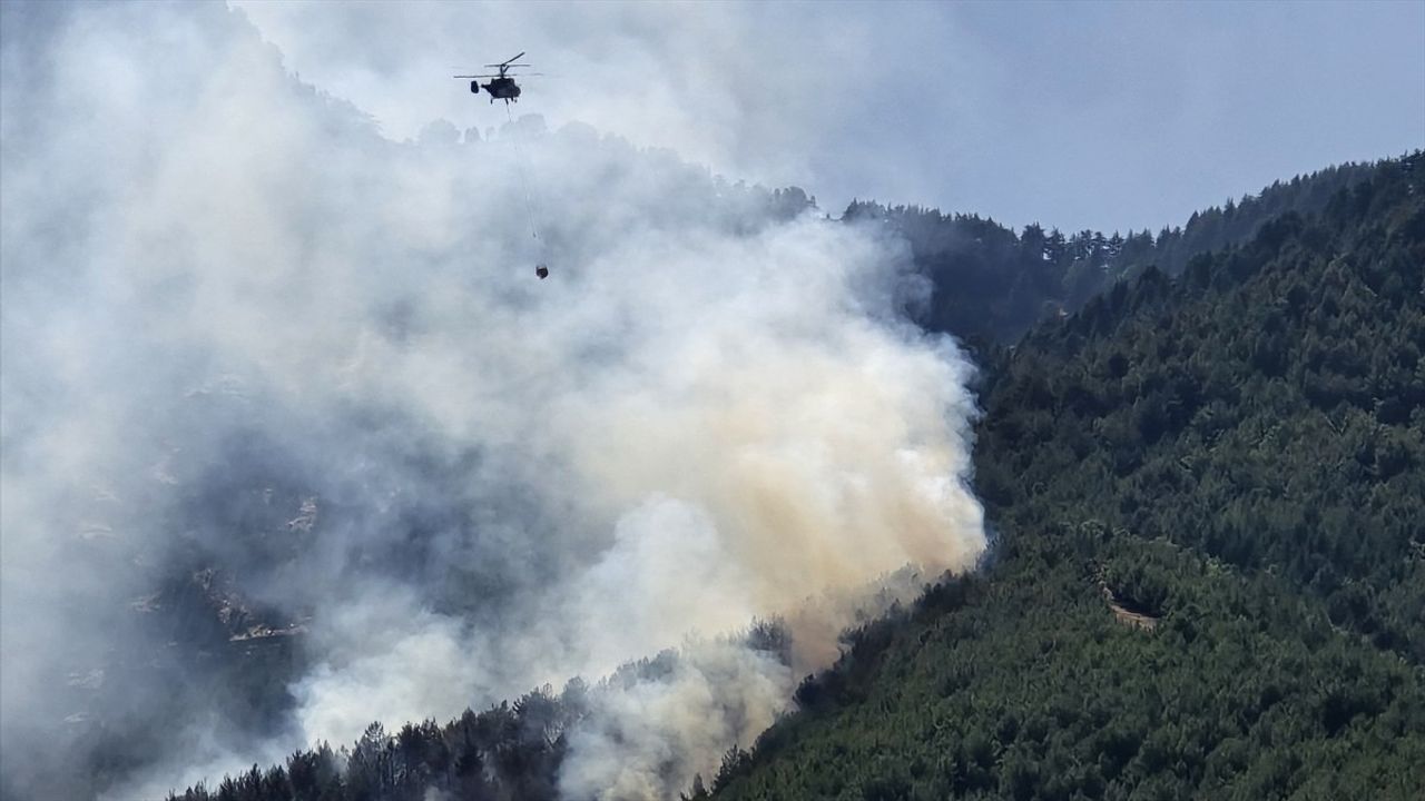 Hatay'da Orman Yangınına Müdahale Başladı