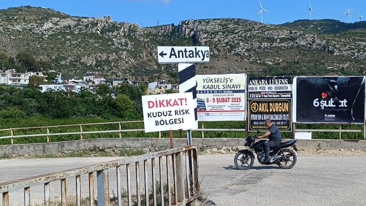 Hatay'da Sahipsiz Köpekler İçin Kuduz Karantinası Uygulaması Başlatıldı