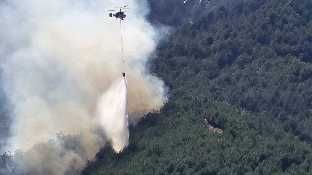 Hatay'daki Orman Yangını Kontrol Altına Alındı