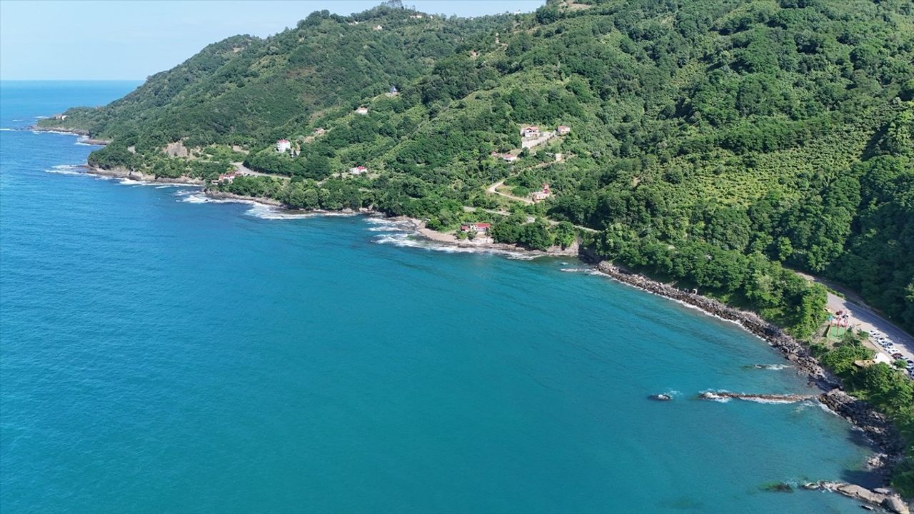 Hoynat Adası: Ordu'nun Doğal Güzellikleri ile Dolu Cenneti