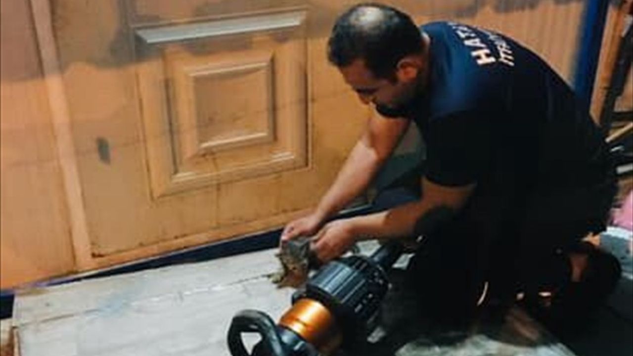 İskenderun'da İtfaiye Ekipleri Kedi Yavrusunu Hayata Döndürdü