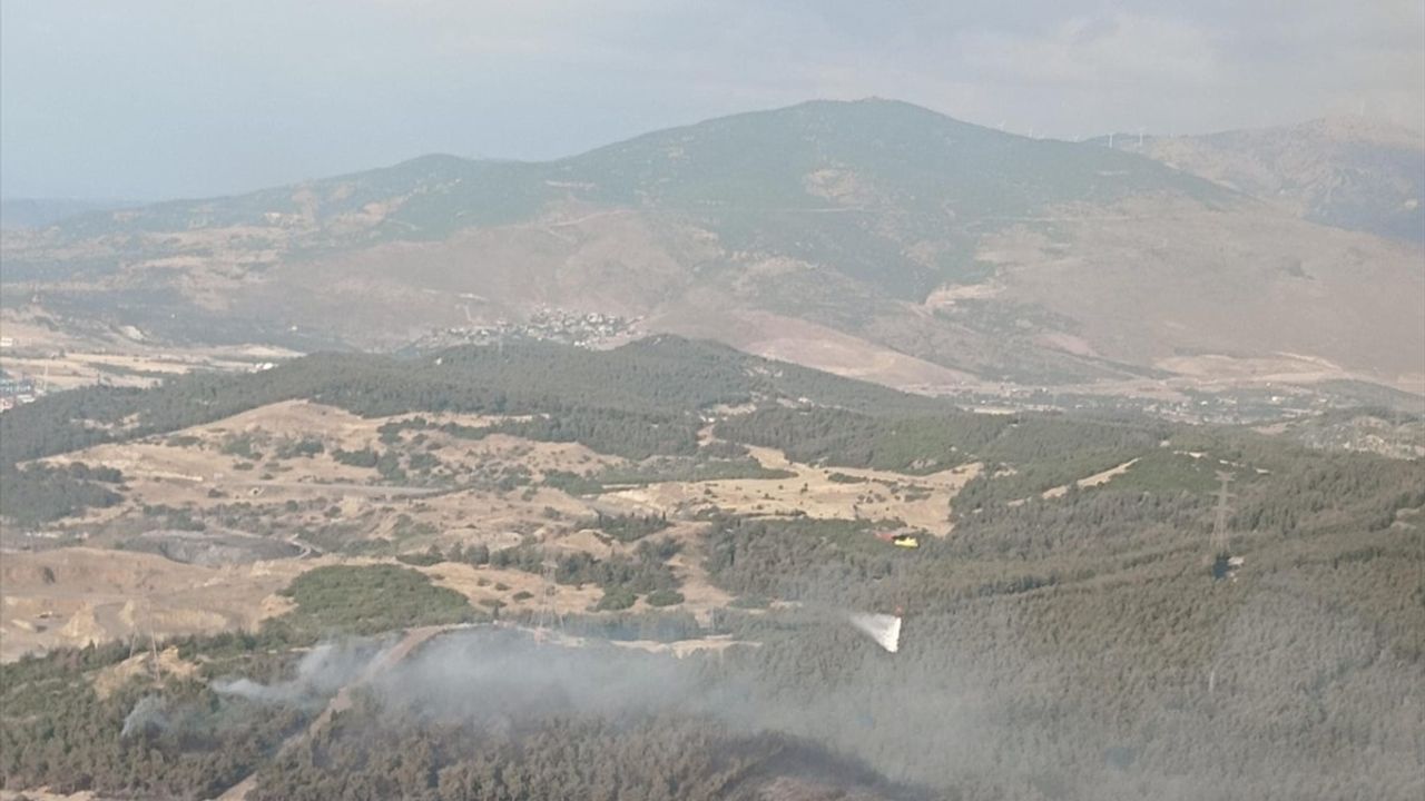 İzmir Aliağa'daki Orman Yangını Kontrol Altına Alındı